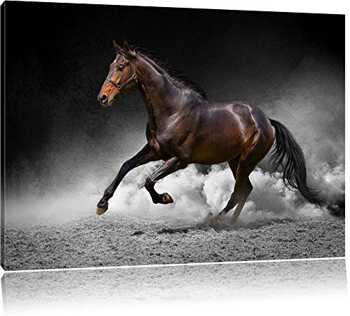 Pixxprint prächtiger Hengst im Sand B&W, Größe: 100x70cm, Leinwandbild, fertig gespannt, Wandbild, Dekoration, Kunstdruck, kein Poster