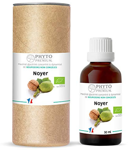 Gemmothérapie NOYER - Juglans regia (BIO)