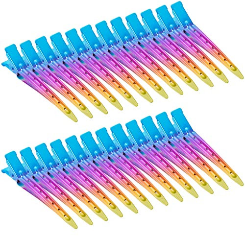 Bantoye Lot de 24 pinces crocodiles en métal antirouille avec trous pour coiffure, coloration des cheveux, dégradé arc-en-ciel