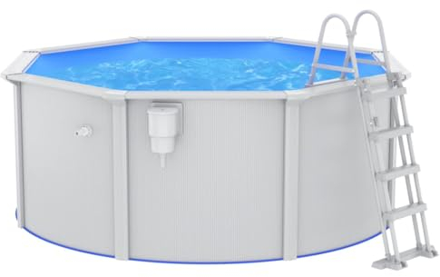 Piscine avec échelle de sécurité 300x120 cm