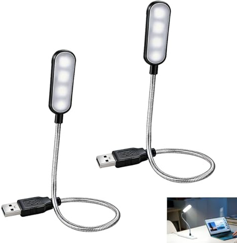 2 Pcs USB Light for Laptop, USB Keyboard Light, Portable Clip On Keyboard Lights Flexible Gooseneck LED Lighting for Laptop Notebook PC, Eye Care Night Lighting for Work Study Travel Camping (Black)