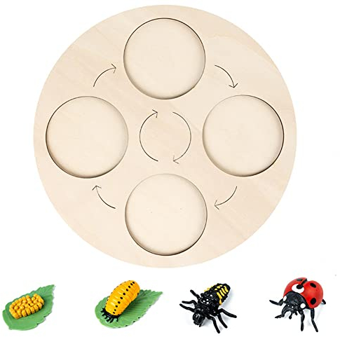JAWSEU Lebenszyklus Modelle Marienkäfer, Insekten Figuren Ornament Simulation Tierwachstumszyklus Modell mit Holz Lebenszyklus Brett, Frühes pädagogisches Spielzeug Weihnachten Geschenke für Kinder