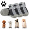 Hundeschuhe Pfotenschutz Outdoor Sommer, 4 Stück Pfotenschutz Hund mit Reflektierendem Klettverschluss, atmungsaktive Hundestiefel, Verstellbarer Hunde Schuhe für Kleine Mittlere Hunde (Schwarz, 3)