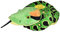 Wild Republic Plush Snake Anakonda, Plüsch-Schlange, Riesen-Kuscheltier, 137 cm, Baby Shower Geschenk, Stofftier, Füllung aus recycelten Wasserflaschen