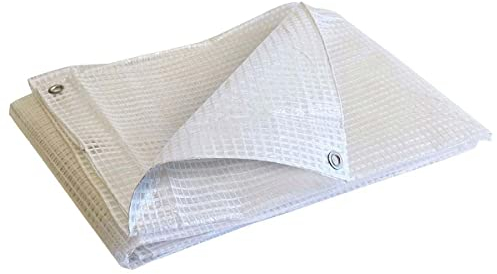 TECPLAST Bâche de Protection 4x10 m TR170MU - Bâche Armée Transparente - Haute Qualité - Imperméable - Résistance Anti-UV