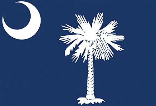 Toland Home Gartenhaus Flagge Bundesstaat South Carolina, Flagge Garden Flag (12.5 x 18)