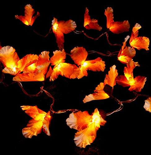 GURU SHOP Exotische Lotusblüten, Blüten LED Lichterkette Chiang Mai 20 Stk. - Lotus Naturweiß/orange, 6x6x350 cm