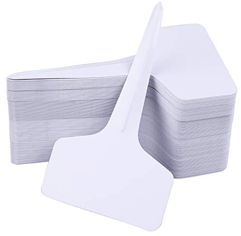 Foraineam 500 etichette in plastica per piante, 6 x 10 cm, a T, per piante e vivai
