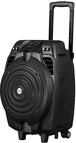 AKAI Party-Lautsprecher 2-Wege mit Karaoke-Mikrofon In/Outdoor Bluetooth AUX USB Akku Mikrofon/Gitarren-Verstärker