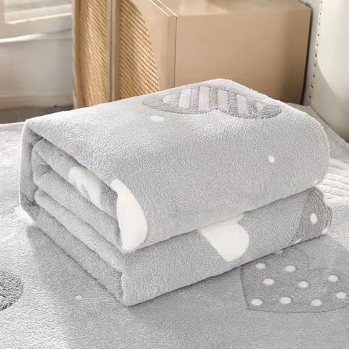 Hixingo Reine Farbe Kuscheldecke Fleecedecke Wolldecke, Mikrofaser Sofa Überwurfdecke Kinder Kuscheldecke Flauschig Sofadecke, Weich Sofaüberwurf Couchdecke (100x150cm,Graues Herz)