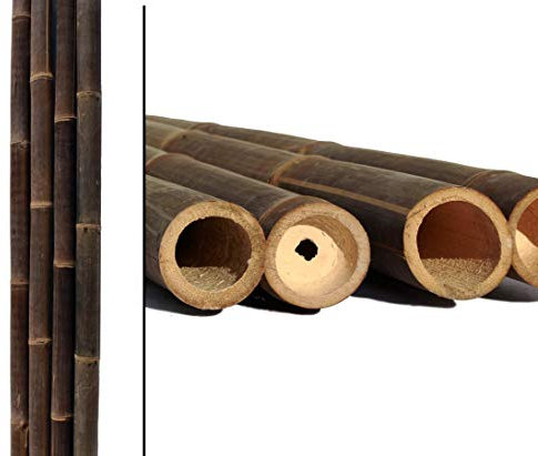 bambus-discount.com 1 tube de bambou de 200 cm - Noir/marron - Diamètre de 5 à 6 cm - Épaisseur de la tige en bambou : 2 m de long - Traité avec du sel de bore