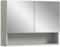 xonox.home Badezimmer Copa Spiegelschrank Badspiegelschrank Spiegelschränke fürs Bad Badspiegelschrank Front Spiegelfläche Korpus hellgrau Nb.,ca.74x55x17cm mit Ablage
