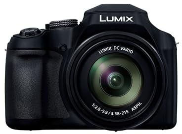 Panasonic Lumix DC-FZ82DE-K Bridge Camera with 20-1200 mm F2.8-5.9 Lens, 18.1MP, 4K Video & Photo, OLED Live View Finder, LCD Touch Screen, USB-C, Black