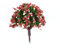 Sélection variée de 70 arbres miniatures assortis en plastique parfaitement dimensionnés pour HO Z pour jardins à l'échelle TT