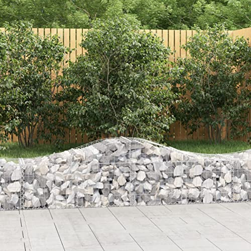 Rantry 3145580 Cestas de jardin en acier galvanisé, lot de 5, 200 x 50 x 40/60 cm, pot de fleurs d'extérieur, panier gabion en pierre, solution d'aménagement paysager durable, modèle 3145580