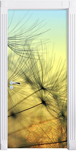 Stil.Zeit Möbel Pusteblumen mit Tautropfen als Türtapete, Format: 200x90cm, Türbild, Türaufkleber, Tür Deko, Türsticker