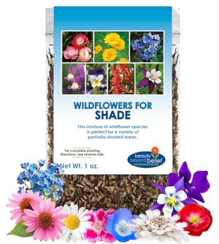 BBB Seed Partial Shade Wildflower Seeds - 1 oz Packet, Open-Pollinated Wildflower Seed Mix, No Fillers, Annual, Perennial Wildflower Seeds for Planting Year Round - 1 oz