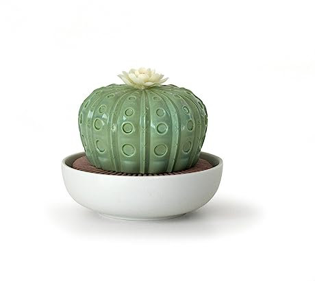 LLADRÓ Astrophytum Cactus Diffuser. Gardens of Valencia Scent. Duftdiffusor. Porzellan.