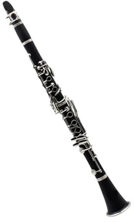 Professionelle Klarinette Bb 17 Key Professionelle Anfängerklarinette mit Box Reinigungstuch Schraubwerkzeug Reed Zubehör