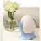 2 X 2 x Dehumidifying Reusable Dehumidifier Egg
