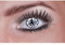 Zoelibat Eyecatcher - Farbige 12 Monatslinsen, 1 Paar, Kontaktlinsen ohne Sehstärke, Halloween, Karneval, Fasching