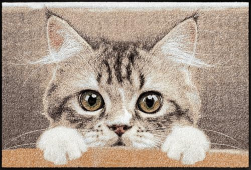 Salonloewe Fußmatte & Eingangsmatte Nosy Cat in beige & Größe 0,50 x 0,75 cm - Fußabtreter & Schmutzfangmatte mit Katzen-Design für den Eingangsbereich