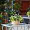 Smart Garden Hängekorb Blumenstrauß Künstliche Blumen 31 x 18 cm ideal für zuhause oder Garten (gelb)