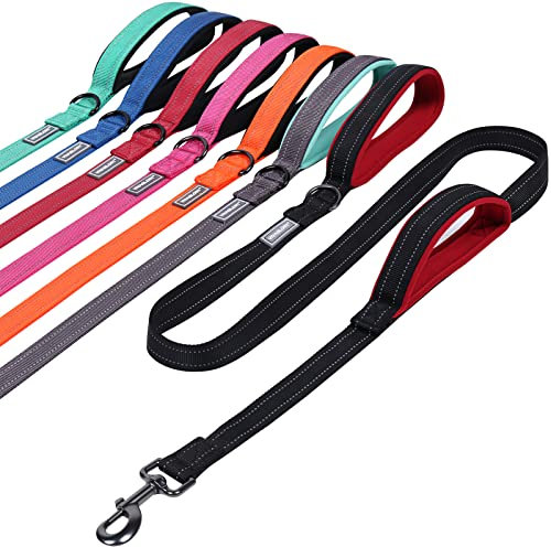 VIVAGLORY Twingrip Führleine Hund, Leine Hund Hausleine Joggingleine, Hundeleine mit 2 Griffen Doppelgriff, Gepolstert Neopren & Reflektierend, 1.8m x 2.5cm, Schwarz