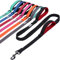 VIVAGLORY Twingrip Führleine Hund, Leine Hund Hausleine Joggingleine, Hundeleine mit 2 Griffen Doppelgriff, Gepolstert Neopren & Reflektierend, 1.8m x 2.5cm, Schwarz