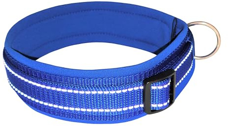 BUDDYPACK | Extra-Breites Hundehalsband mit Reflektorstreifen | Weiches Neopren-Polster | Größe XXS-3XL Verstellbar (S (38-43 cm), Blau auf Blau)