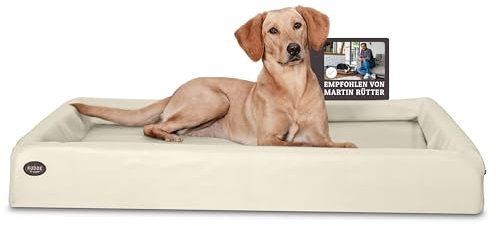 SABRO KUDDE Orthopädisches Hundebett – Martin Rütter – Hochwertiges Kunstleder – Waschbar & Wasserabweisend – Ergonomisch – Premium Haustierzubehör für Mittelgrosse, Grosse Hunde XL in Creme