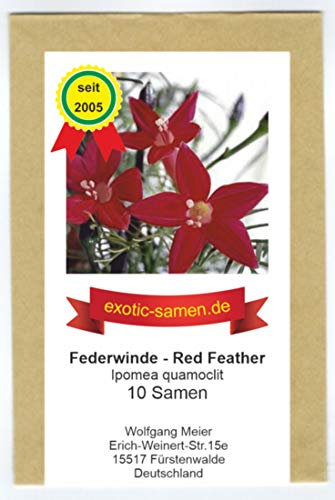 Ipomoea quamoclit - Federwinde - 10 Samen