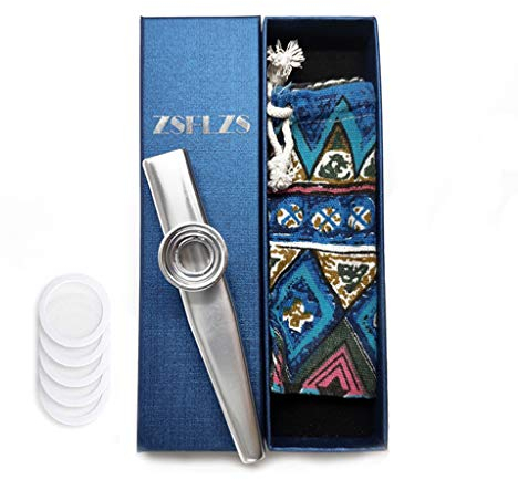 Metall Kazoo mit einer schönen Geschenkbox, Mini Musikinstrument für Kinder und Erwachsene (Silber)