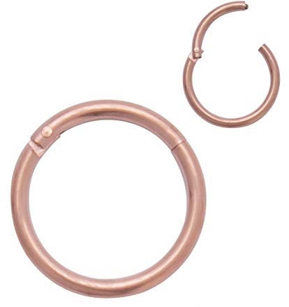 4youquality Surgical Steel Nose Ring Septum Clicker Hinge Segment Ear Helix Tragus Ring Hoop Nose Rings (Rose Gold, Size 1.0 * 6mm Tiny)