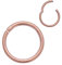 4youquality Surgical Steel Nose Ring Septum Clicker Hinge Segment Ear Helix Tragus Ring Hoop Nose Rings (Rose Gold, Size 1.0 * 6mm Tiny)