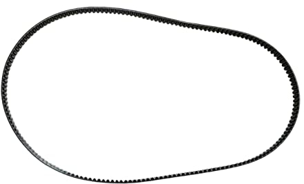 Milageto Cinturón de máquina automática para Hacer Pan, cinturón para Engranajes, Cinta transportadora, Correa de transmisión de Alta Resistencia de PU, Banda, 173 Dientes 519 mm