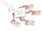 4pcs 3.7 V 650mAh Pack de Batterie Lipo Rechargeable avec Bouchon JST et 4 en Véhicules RC, Drones et Plus Encore