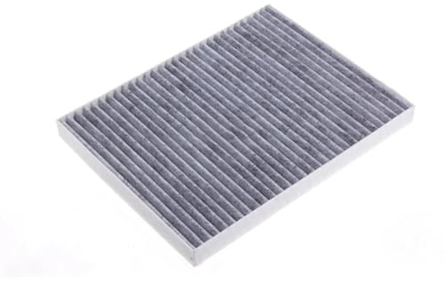Toiumops Filtro Abitacolo per Ford Fiesta VI, Filtro abitacolo Filtro abitacolo 1 Pezzo 1566997/1701022