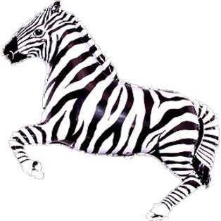 Toyland® 83 cm (33) schwarzer und weißer Folienballon in Zebraform