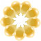 10 Luftballons Metallic Gold Eco Ballons Gold Made in EU Deko Geburtstag Kinder Erwachsene Dekoballon Goldene Hochzeit Feier Hochzeit Jubiläum Party goldene Ballons Helium geeignet