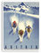 Metall-Blechschild „Ski Austria“, Retro-Dekor, Kunstschild für Zuhause, Küche, Bar, Café, Club, Höhle, Wanddekoration, Vintage-Reiseschild, 15 x 30 cm