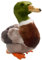 Carl Dick Ente, Stockente, Vogel, Plüschtier, Kuscheltier ca. 22cm 3336