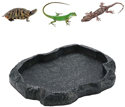 Reptile Rock Food Water Dish Food Bowl Worm Feeder Pet Feeder Dish for Tortoise Lizard Gecko Scorpion chameleons (M-Green)