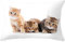 Dekorativ Kissenbezug Tier Katze Hund 30x50cm/12x20inch Rechteck Kissenbezug Doppelseitigem Muster mit Unsichtbarem Reißverschluss Dekokissen,für Wohnzimmerstuhl Sofa Garten Outdoor Kissenhülle