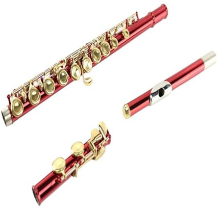 Querflöten Flöten-Einsteigerinstrument 16-Loch-Profi-Flöte C-Taste