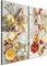 murando - Wandbilder Set Küche 80x80 cm 4 Teilig je 40x40 Vlies Leinwandbild Kunstdruck modern Wandbilder XXL Wanddekoration Design Wand Bild mehrteilig - Erdbeeren Home backen Küchen