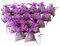 1 More Tree 20 Dried Lavender Bags Fresh Handmade Naturally Fragranced Moth Repellent NEW…