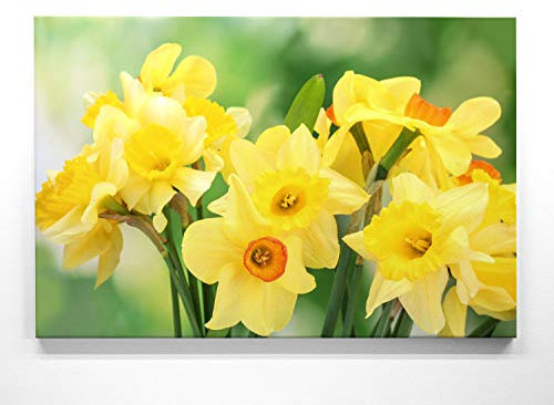 Wandbild zum Frühling, Eine wunderschöne Deko, Gelbe Narzissen als 50x50cm großes Leinwand-Bild. Dekorieren Sie Küche, Wohnzimmer, Schlafzimmer. Aufgespannt auf 2cm Holzrahmen