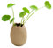 ASSR Keramik-Vase für Blumen, einzigartige Mini-Eierschalen-Keramikvase, einfache moderne Blumenvase, Keramik-Blumentopf, Dekoration für Zuhause, Tisch, Küche, Terrasse