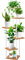 YOCOMEY 6 Niveaux Support de Plante en Métal Bois, Multiple Étagère à Fleurs Support de Pots Fleurs Porte Plantes Interieur, Décoratif Présentoir Étagère de Pots Fleurs pour Salon Balcon(Blanc)